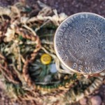 Summiting the World’s Tallest Mountain, Mauna Kea