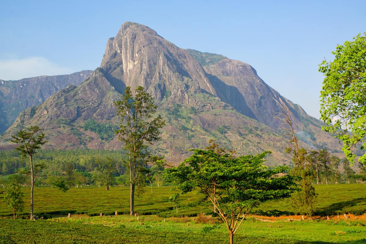 Mt Mulanje - Malawi