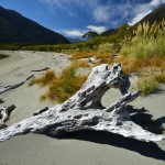 hollyford pyke river new zealand