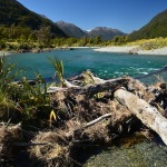 hollyford pyke river new zealand