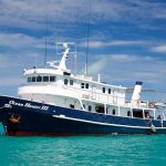 Ocean Hunter 3 Liveaboard Palau