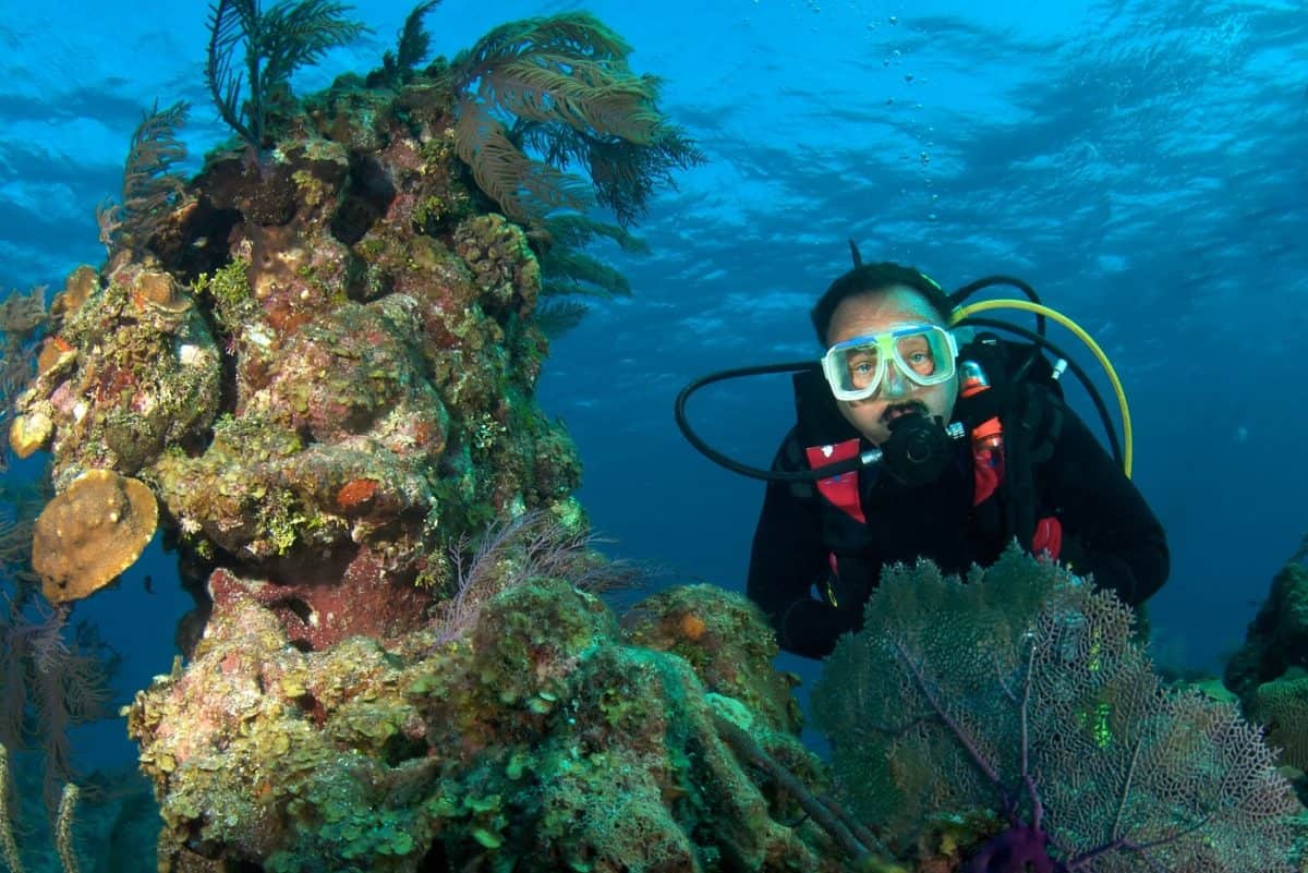 Top 25 Scuba Diving Blogs of 2024 The Adventure Junkies