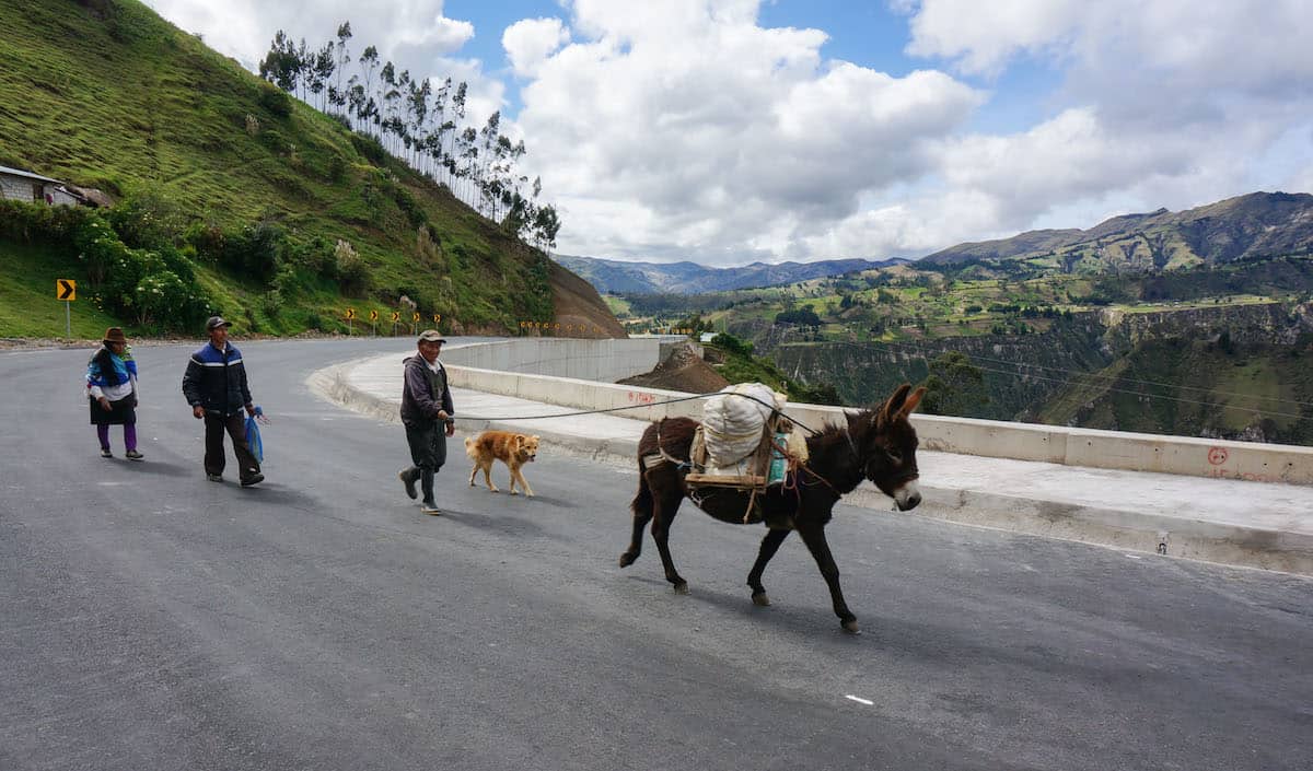 Quilatoa Donkey Walk (1 of 1) copy