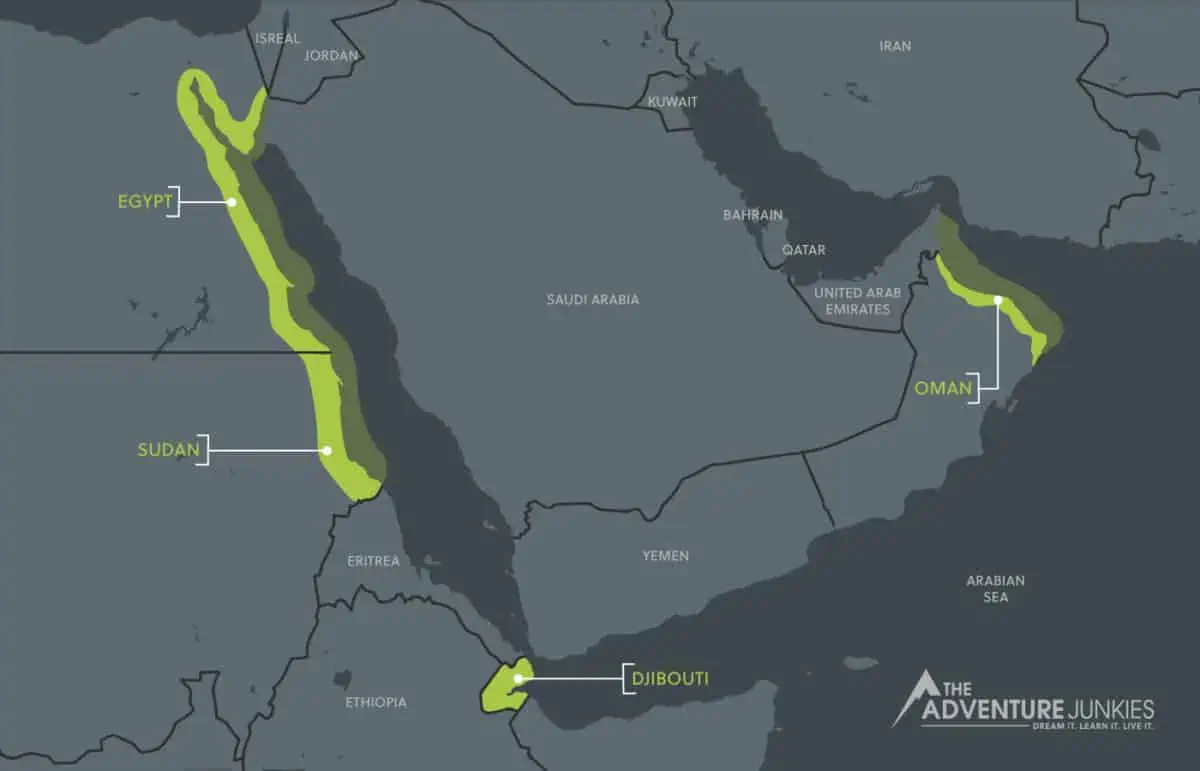 Liveaboard Diving in the Read Sea and Middle East