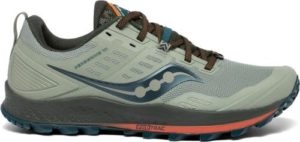 Saucony Peregrine 10