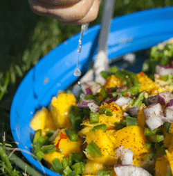 Mango and avocado salad