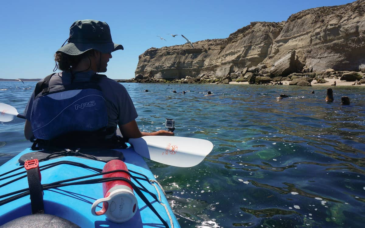 kayaking with sea lions