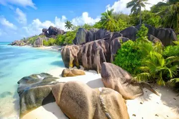 seychelles liveaboard