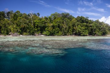 solomon islands liveaboard