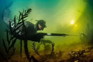 spearfishing tips