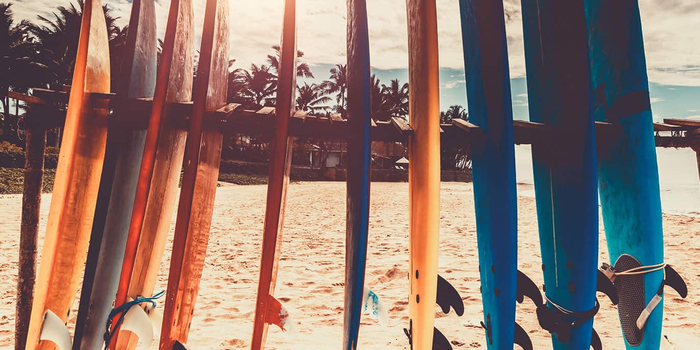 Top 10 Best Soft Top Surfboards of 2024 • The Adventure Junkies