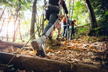 hikers in the woods