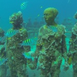 Snorkelling at the Underwater Sculpture Park, Grenada