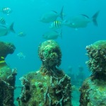 Snorkelling at the Underwater Sculpture Park, Grenada