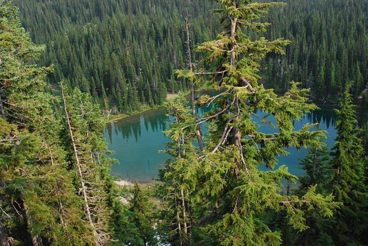 Washington's Eastern Wonderland: Unforgettable Adventures in State Parks