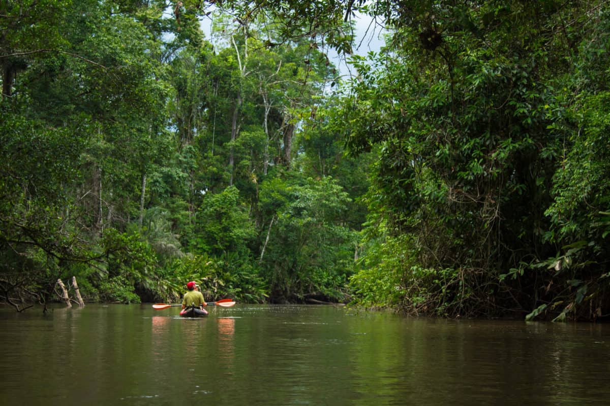 amazon-kayaking-tour-river-explorers-T1