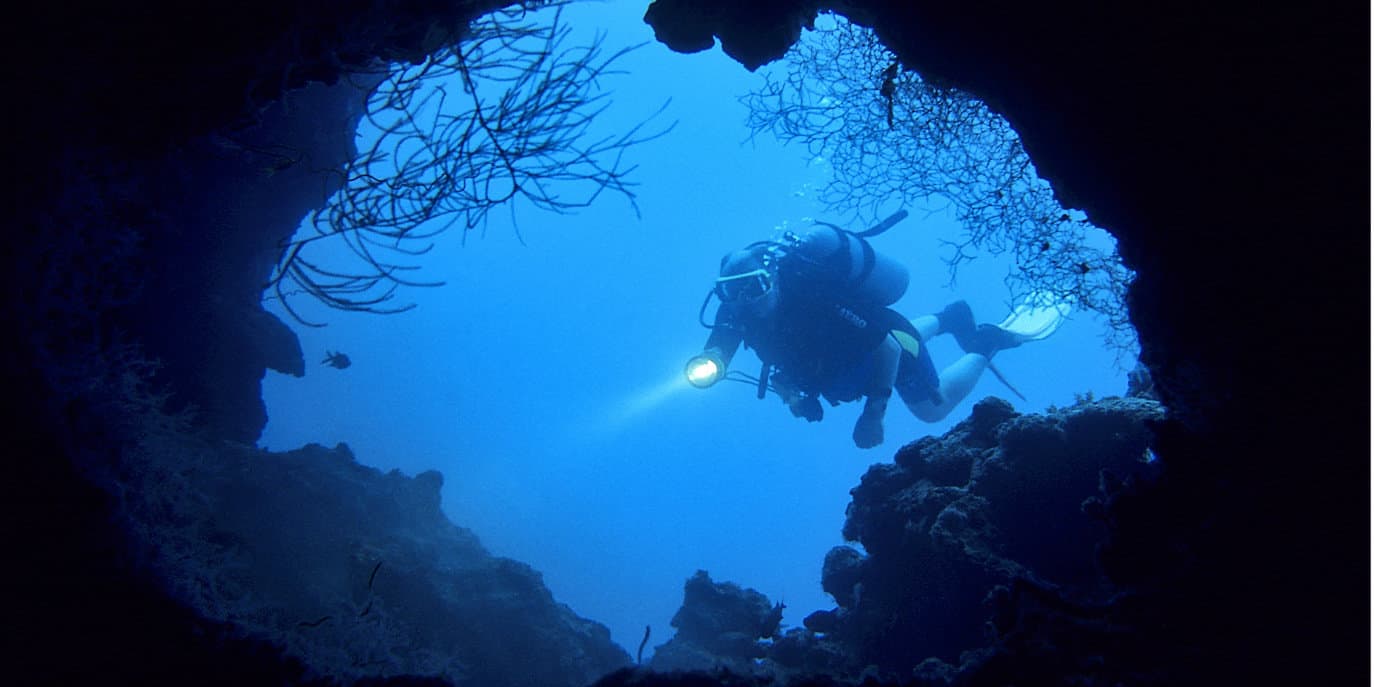 Top 9 Best Dive Lights of 2024 • The Adventure Junkies