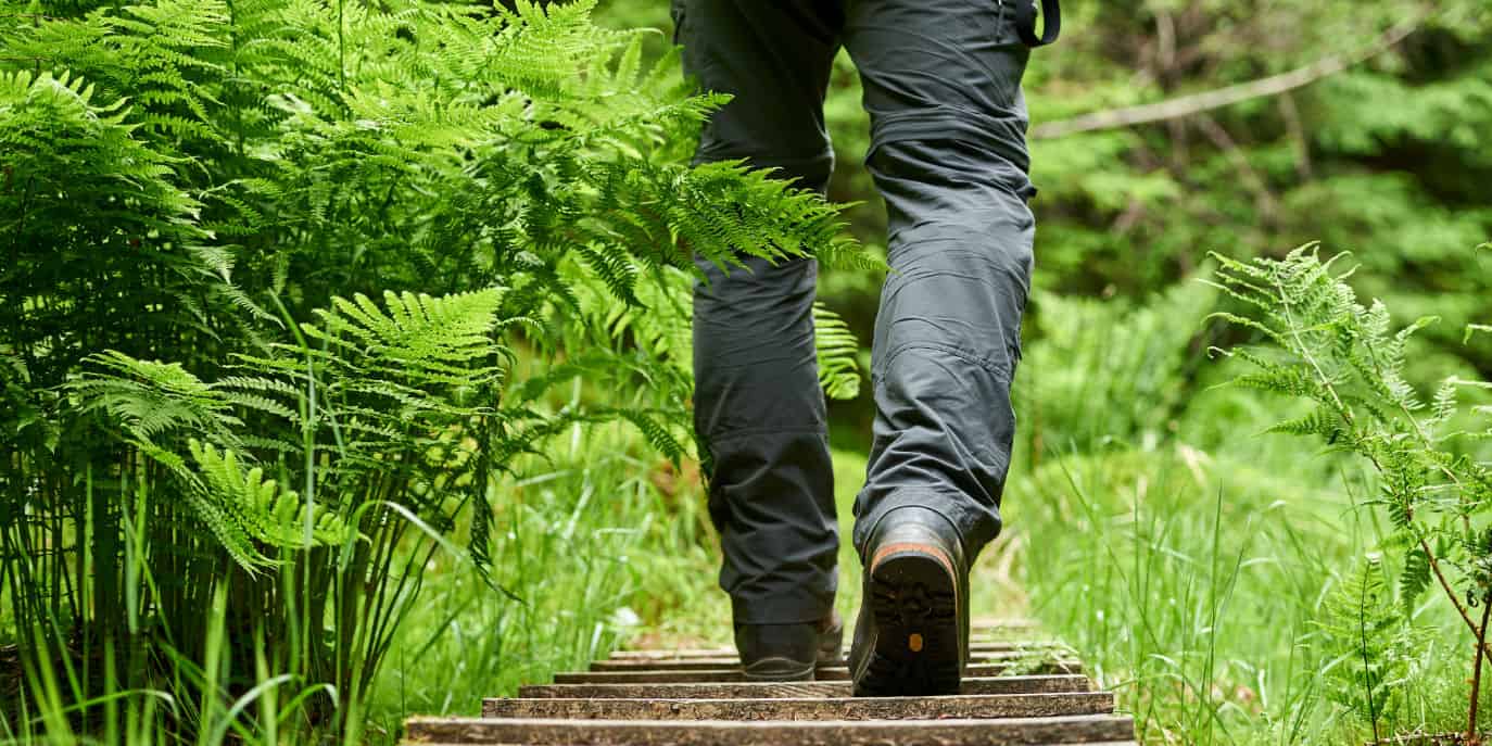 Top 10 Best Hiking Pants of 2024 • The Adventure Junkies