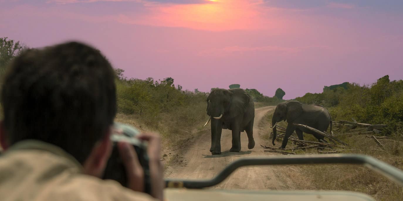 BEST POINT AND SHOOT CAMERA FOR WILDLIFE PHOTOGRAPHY 2022 visual data 3