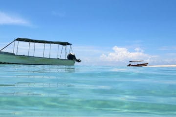 best bimini top