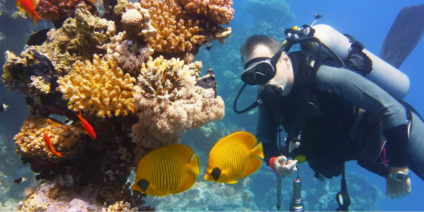 Top 5 Best Budget Dive Computers of 2024 • The Adventure Junkies