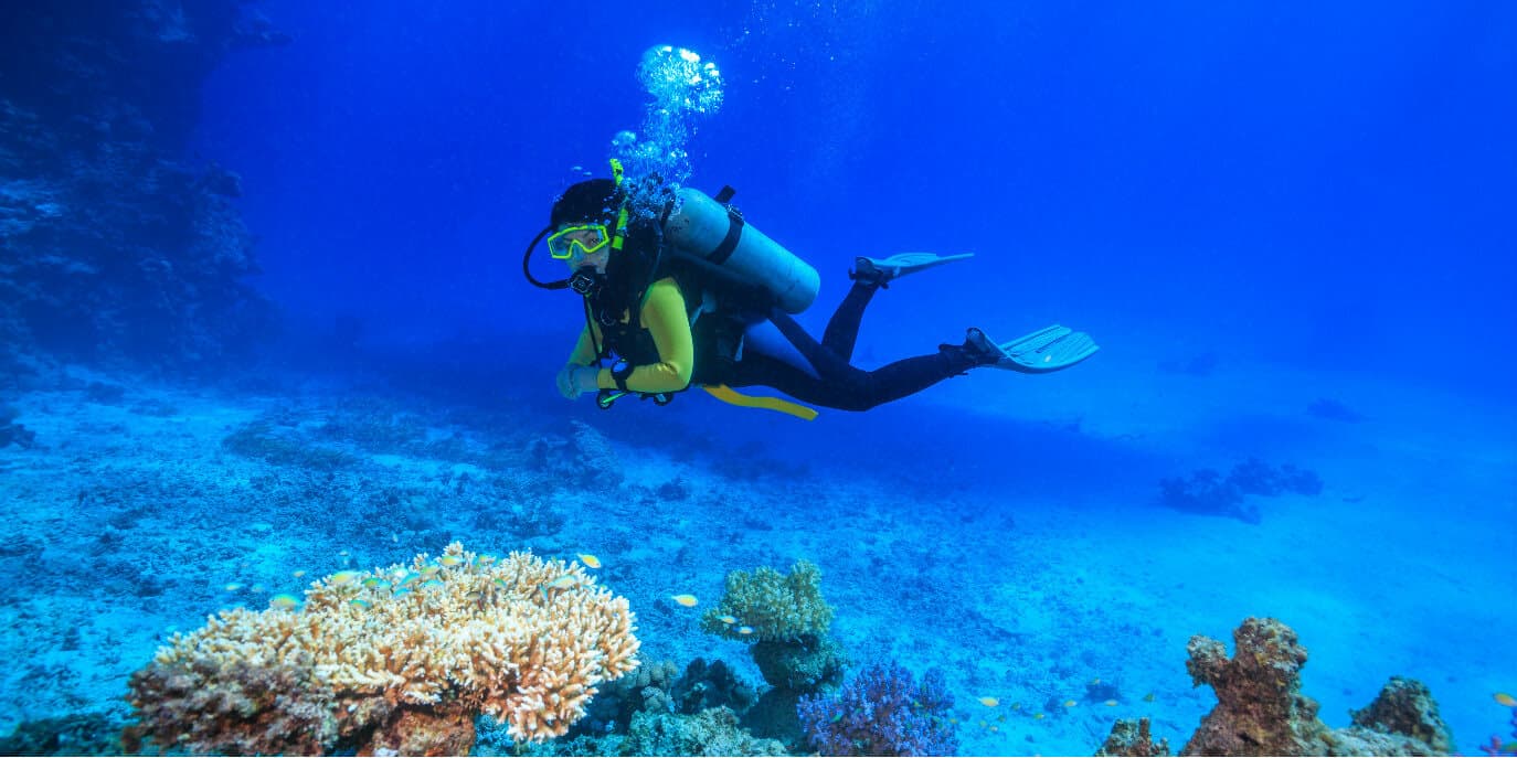 Best Scuba Mask with a Purge Valve of 2024 • The Adventure Junkies