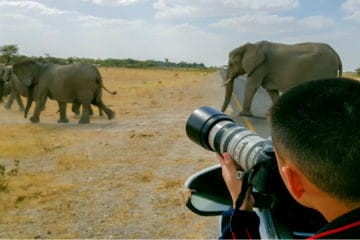 best lens for wildlife photography