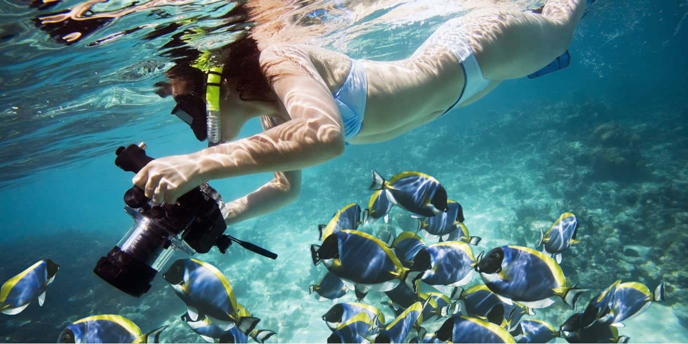 Best Underwater Camera for Snorkeling of 2024 • The Adventure Junkies