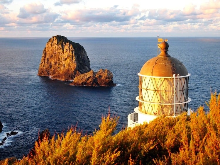 The Best Overnight Hike in Northland: Cape Brett, New Zealand