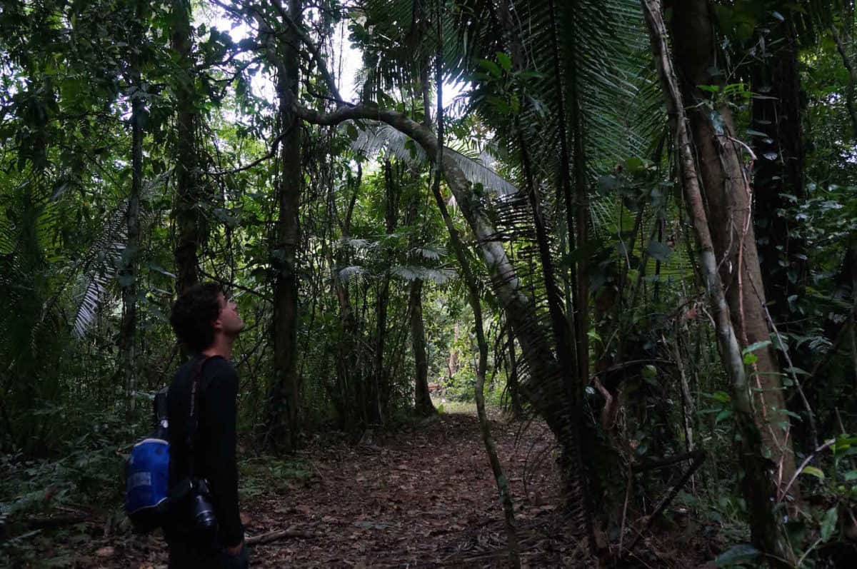 Cockscomb Basin Reserve - Belize 