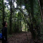 Hiking the Cockscomb Basin Wildlife Sanctuary, Belize.