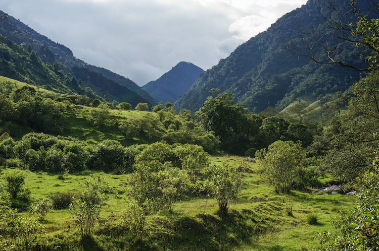 SURREAL LANDSCAPES & TALL PALMS: HIKING IN THE COCORA VALLEY, COLOMBIA