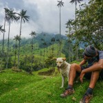 SURREAL LANDSCAPES & TOWERING PALM TREES: HIKING IN THE COCORA VALLEY, COLOMBIA