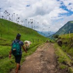 SURREAL LANDSCAPES & TOWERING PALM TREES: HIKING IN THE COCORA VALLEY, COLOMBIA