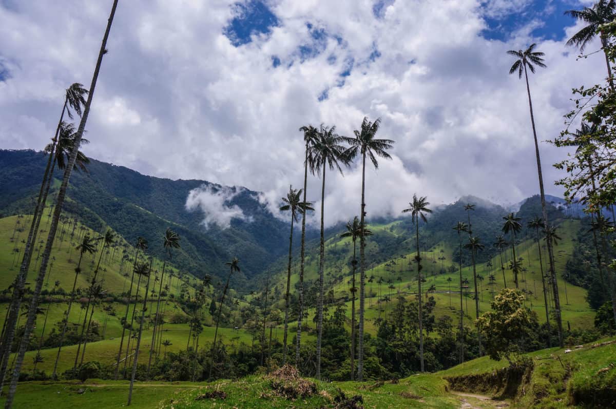 SURREAL LANDSCAPES & TOWERING PALM TREES: HIKING IN THE COCORA VALLEY, COLOMBIA