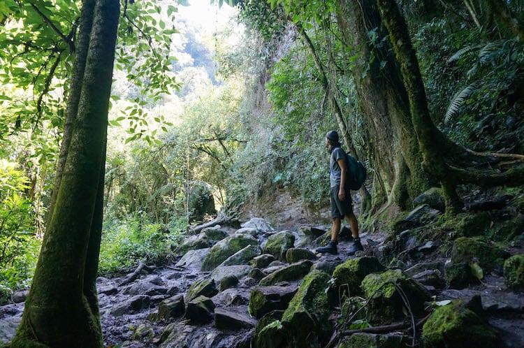 SURREAL LANDSCAPES & TOWERING PALM TREES: HIKING IN THE COCORA VALLEY, COLOMBIA