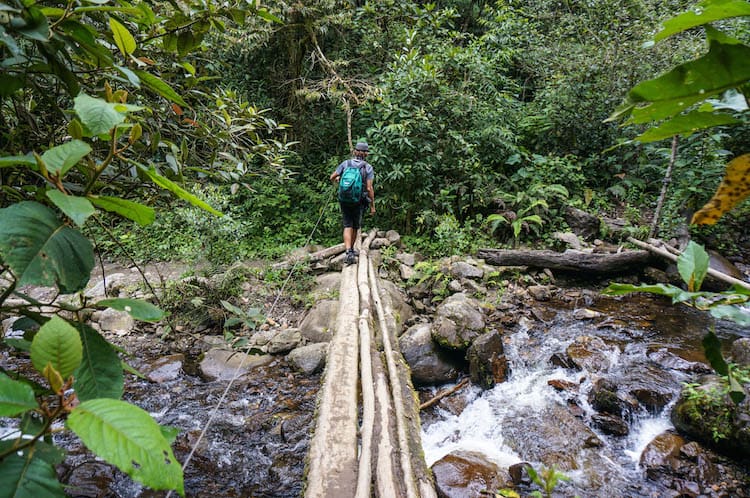 SURREAL LANDSCAPES & TALL PALMS: HIKING IN THE COCORA VALLEY, COLOMBIA