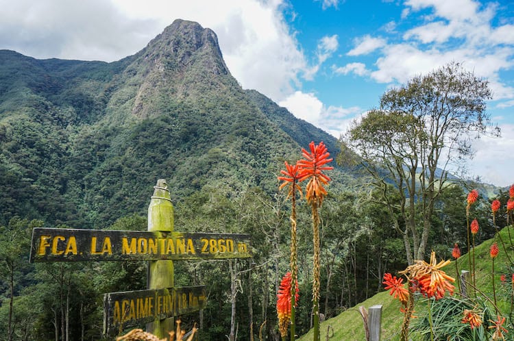 SURREAL LANDSCAPES & TALL PALMS: HIKING IN THE COCORA VALLEY, COLOMBIA