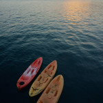 Our Experience with MV Yemaya Diving Liveaboard to Malpelo