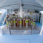 OUR EXPERIENCE WITH MV YEMAYA LIVEABOARD TO MALPELO