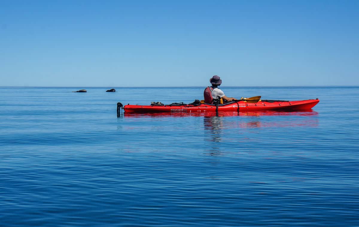 kayaking with whales in Argentina