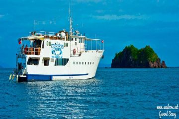 tubbataha liveaboard