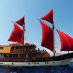 geligo liveaboard raja ampat