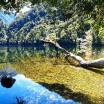 George Sound Track, New Zealand