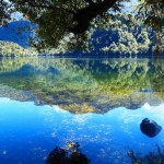 George Sound Track, New Zealand