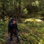 George Sound Track, New Zealand