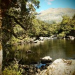 George Sound Track, New Zealand