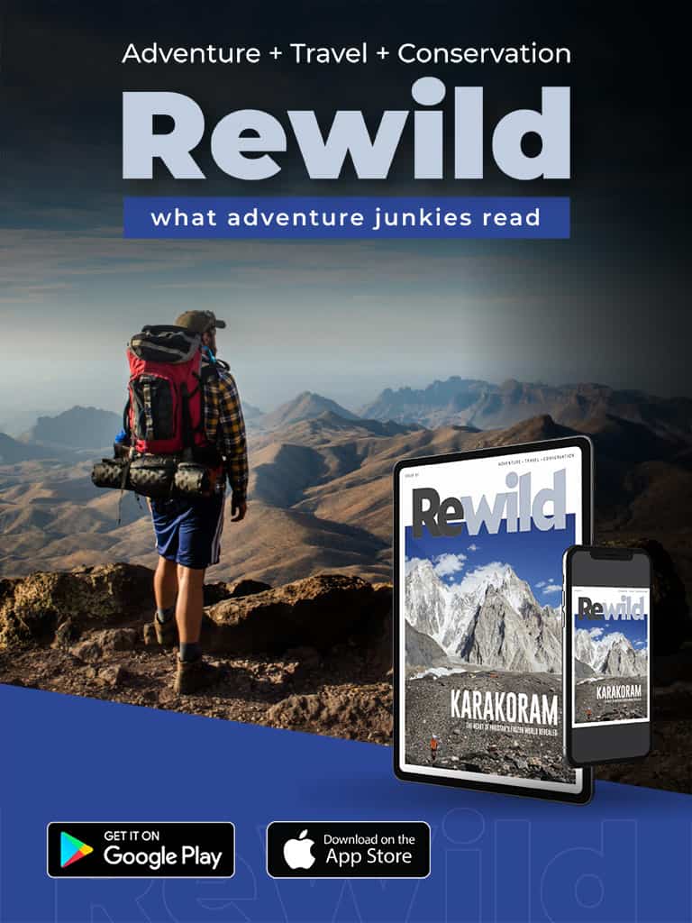 hiking stores online