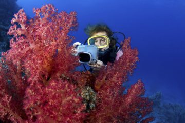 how to take pictures underwater