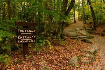 Hiking trail in the woods